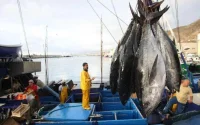 La Russie et le Maroc signent un nouvel accord de pêche