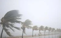 Alerte météo : fortes averses et vent attendus au Maroc