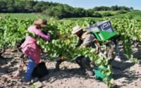 Sélection d'ouvriers marocains pour la campagne de la fraise en Andalousie