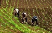Les saisonniers Marocains se révoltent dans les Bouches-du-Rhône