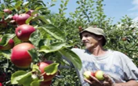 Saisonniers agricoles, esclaves des temps modernes ?