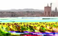 Légère baisse des visites touristiques à Marrakech
