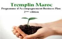Entrepreneurs de l'étranger : par des Marocains pour le Maroc