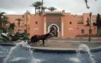 2004 sera une année performante pour le tourisme marocain