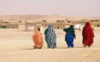 Allemagne : appel des jeunes Marocains d'origine sahraouie