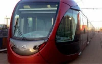 Insolite : le tramway de Casablanca bloqué par des vaches