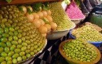Chute de la production d'huile d'olive au Maroc
