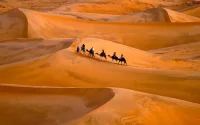 Le Sahara marocain, l'un des meilleurs déserts au monde