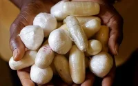 Aéroport de Casablanca : Mort en transportant de la cocaïne dans son estomac