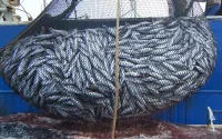 Les Russes autorisés à pêcher sur les côtes marocaines