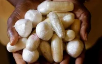 Quatre Nigérians arrêtés avec des boulettes de cocaïne dans leur estomac à l'aéroport de Casablanca