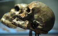 Le Maroc serait-il le nouveau berceau de l'humanité ?