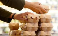 Les oeufs vendus au Maroc sont sains, assure l'ONSSA