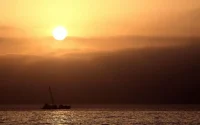 Météo : jusqu'à 41 degrés ce vendredi