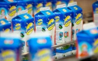 Maroc : forte baisse du chiffre d'affaires de Danone à cause du boycott