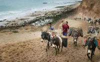 Les mafias du sable : de véritables dangers pour l'écosystème marocain