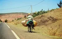 Maroc : de la tradition au modernisme