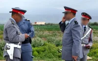 Maroc : grosse prise de la Gendarmerie royale