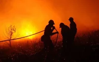 Les feux de forêt ravagent une partie de Chefchaouen