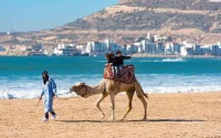 Voici les touristes qui rapportent le plus d'argent au Maroc