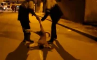 Maroc : la colère monte contre le massacre des chiens errants
