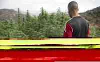 Dépénalisation du cannabis : cheval de bataille des partis politiques ?