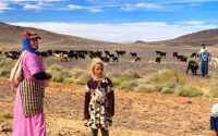 Maroc : la farine utilisée pour combler le manque de pâturages