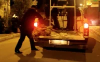 Reprise des massacres des chiens et chiots errants au Maroc