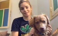 Une Italienne, abandonnée par son fiancé, refuse de rentrer sans son chien