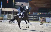 Belgique : accusé de viol sur mineures, un ex-champion du Maroc de dressage risque gros