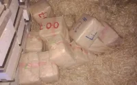 Arme et drogue saisis à Laâyoune, deux arrestations