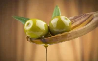 Oléiculture : augmentation de 55% de la superficie cultivée en dix ans dans l'Oriental