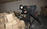 De la drogue à destination de l'Europe saisie au port de Casablanca