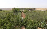 Maroc : 17 ans de prison pour avoir volé un terrain