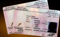 Permis et cartes grises au Maroc : voici les nouveaux changements