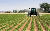 Maroc : bel exploit pour le secteur agricole, malgré le coronavirus
