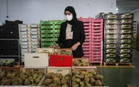 Partie de rien, cette famille de MRE gère un empire et emploie 250 personnes en Espagne