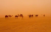 Un nouvel épisode de canicule au Maroc