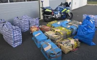 301 kg de cannabis dans son camion : ce Marocain est relaxé… mais doit 1,4 million d'euros aux douanes