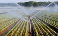 L'économie marocaine portée par l'agriculture cette année