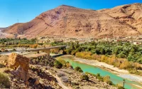 Au Maroc, le sol monte à 50 °C, la végétation fait chuter la température de plus de 5 °C
