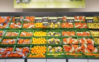 L'Espagne achète plus de fruits et légumes à la France, mais dépense quatre fois plus au Maroc