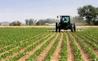 Maroc : le fisc aux trousses des agriculteurs