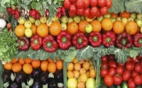 Fraude sur les produits horticoles marocains en Espagne