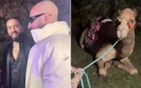 French Montana reçoit un cadeau inhabituel pour son anniversaire (vidéo)