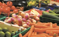 Les fruits et légumes marocains toujours prisés en Europe