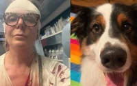 Elle accusait un Marocain de l'avoir frappée à cause de son chien : c'est elle qui est désormais mise en cause