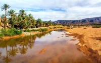 Le Maroc connaît sa pire sécheresse depuis 30 ans