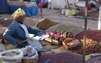 Les ménages marocains ont plusieurs sources de revenu