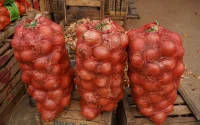 Deux mois après leur réouverture, le Maroc pourrait rebloquer ses exportations d'oignons